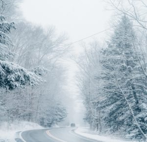 2022Marchblog 300x289