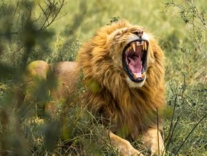 2022Juneblog 300x227